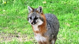 IMG_0781.jpg