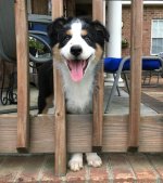 Quig at porch.jpg