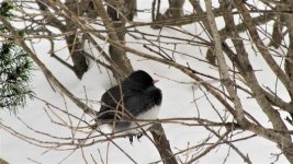 IMG_0770.jpg