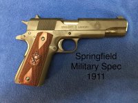 45ACPSPRMILSPEC.jpg