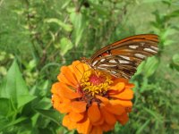 IMG_1563.JPG