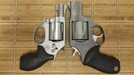 Taurus 445 2.jpg