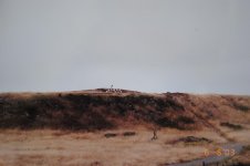DSC_0811.jpg