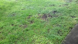 20180903_163001.jpg