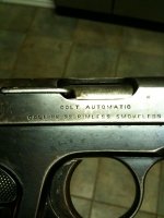 coltPicture 008.jpg