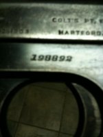 coltPicture 005.jpg