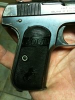coltPicture 009.jpg