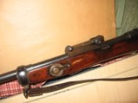 smle 2.jpg