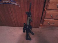 my gun1.JPG