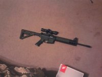 my gun2.JPG
