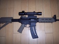 m&p 15-22 002.jpg