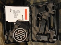 Sig P365 1.jpg
