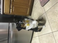 IMG_0286.jpg