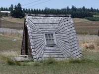 Crazyhaus.jpg