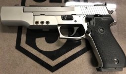 Sig 220_1.jpg