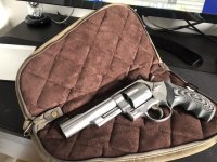 whole gun cs.jpg