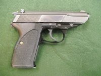 p53.jpg