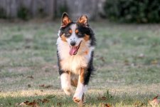Without Stick.jpg
