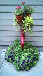 IMG_20130613_070144_510.jpg
