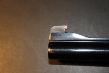 IMG_2377.jpg