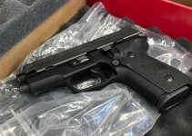 p229.jpg
