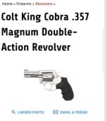 King Cobra.jpg