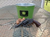 English Walnut hunt (1).jpg