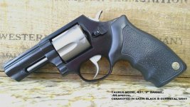 Taurus 431.jpg