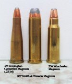.22 Jet_.357 Magnum_.256 Win. Mag.jpg