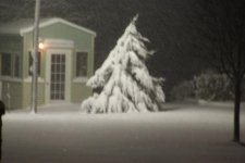Jan 2109 snowfall (Medium).jpg