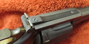 Rear Sight.JPG