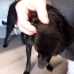 20190107_115010.jpg