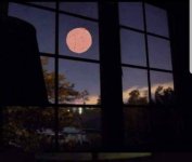 moon.jpg