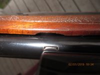 IMG_2802.JPG