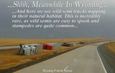 SleepingTrucks_zps2fab4a60.jpg