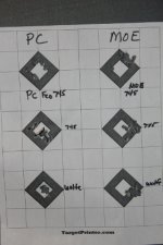 scaledtarget.JPG
