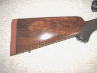 IMG_1380.jpg