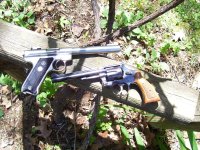 22 pistol 001.jpg