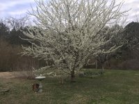 IMG_3392.jpg