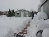 snow.jpg