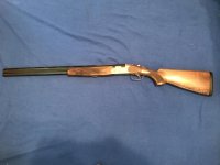 12 Guage Beretta Silver Pigeon .jpg