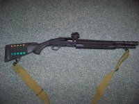 Mossberg 930Tactical.jpg