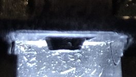 IMG_0342.jpg