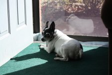 IMG_0053.jpg