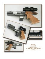 Pardini HP comp.jpg