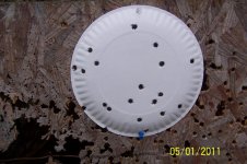 target practice 001.jpg