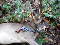 bfarm44buck_n.jpg