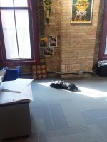 20180523_165959.jpg