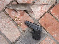 Use Enough Gun.jpg