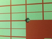 IMG_0169.jpg